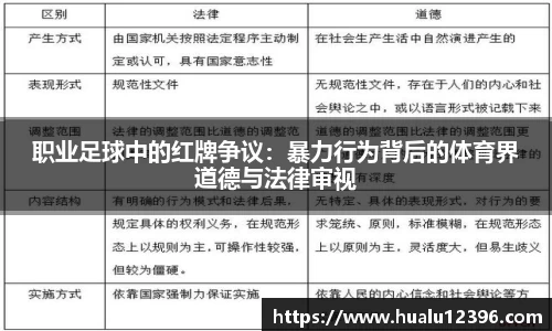 职业足球中的红牌争议：暴力行为背后的体育界道德与法律审视